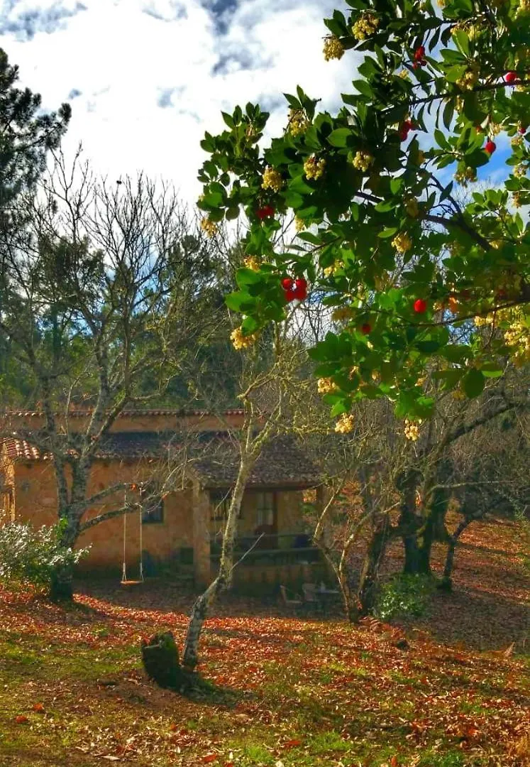 Holiday home Finca La Virinuela (Adults Only) Galaroza