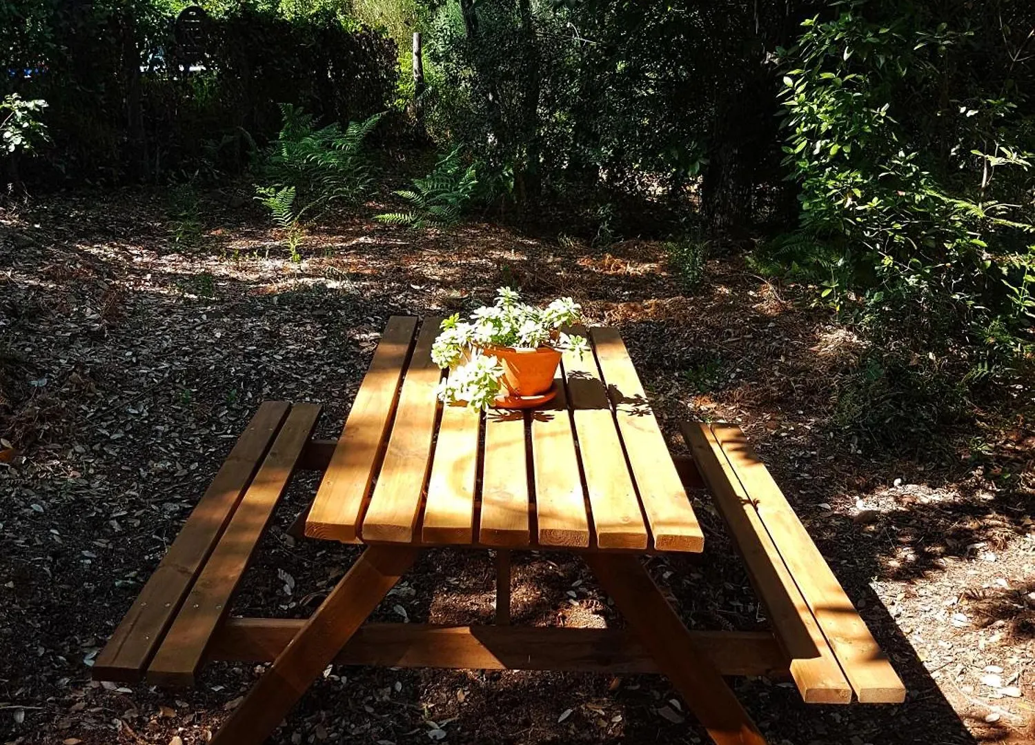 Finca La Virinuela (Adults Only) Galaroza