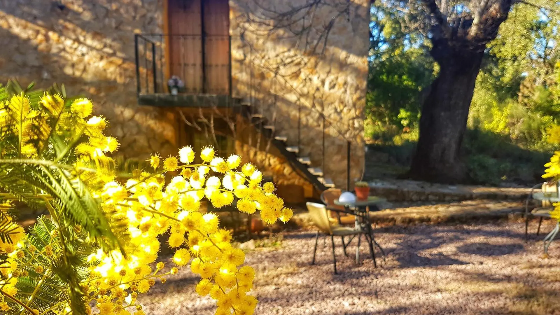Finca La Virinuela (Adults Only) Galaroza 0*,