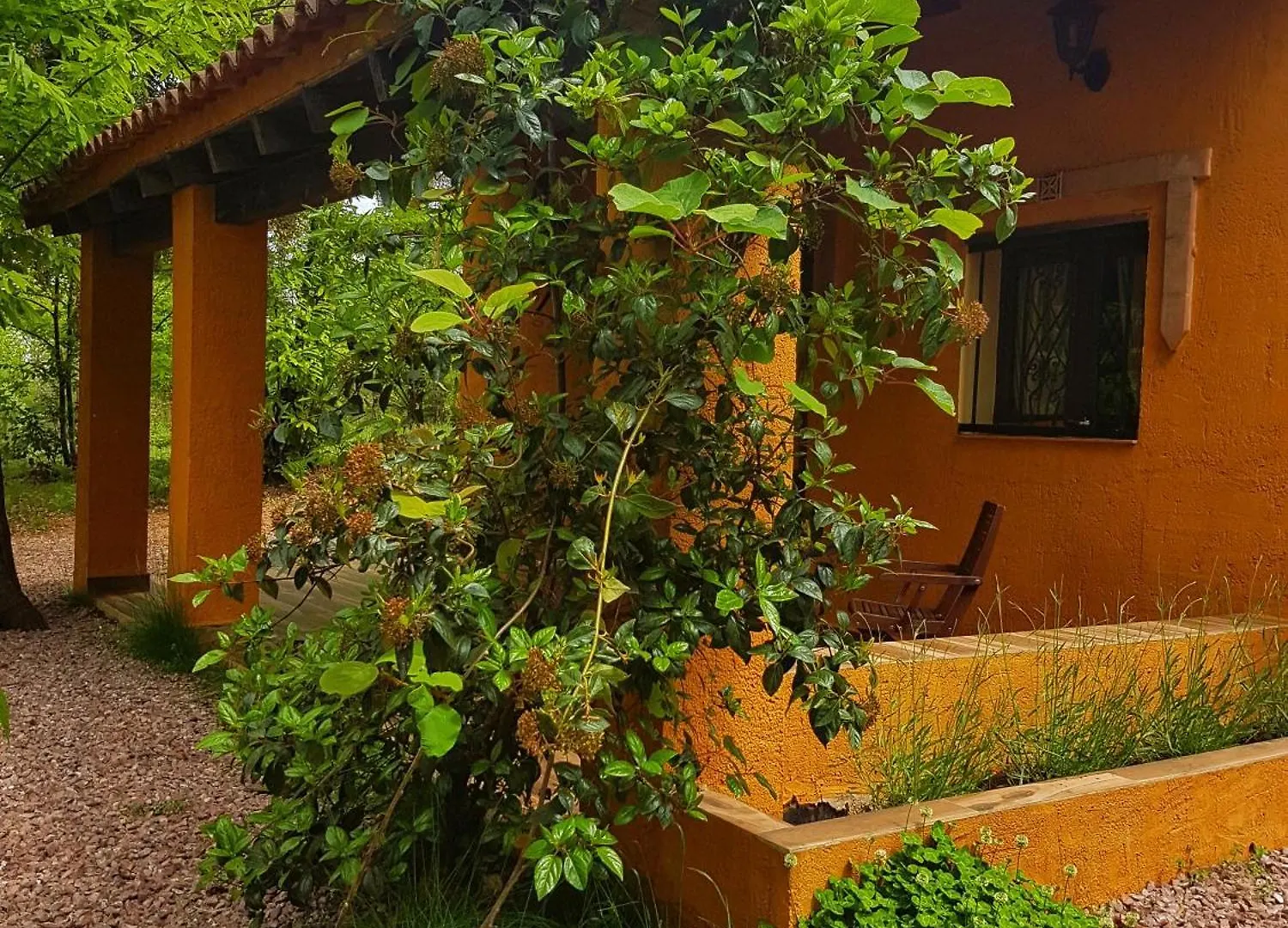 Finca La Virinuela (Adults Only) Galaroza 0*,