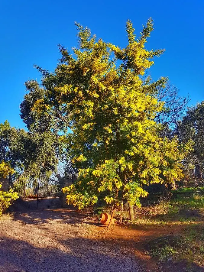 Finca La Virinuela (Adults Only) location