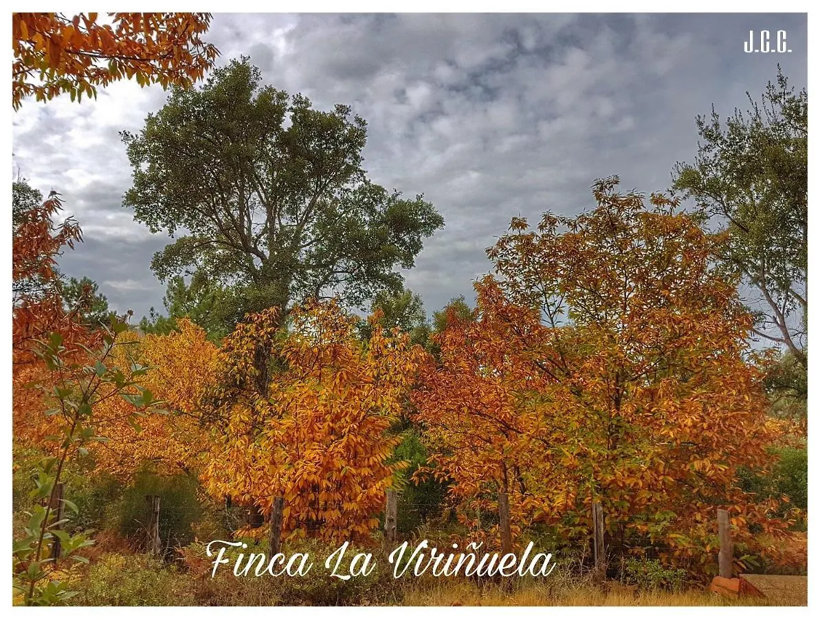 Finca La Virinuela (Adults Only) Galaroza Holiday home